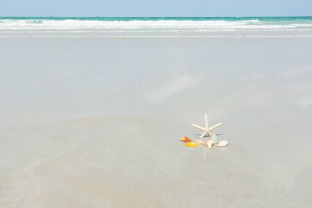 Beautiful starfish with sea beach of Thailandの写真素材
