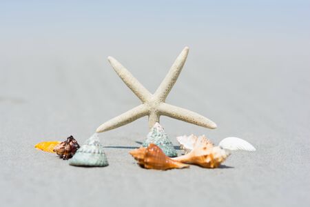Beautiful starfish with sea beach of Thailandの写真素材