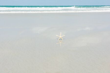 Beautiful starfish with sea beach of Thailandの写真素材