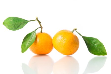 Orange fruit isolated on over white backgroundの写真素材