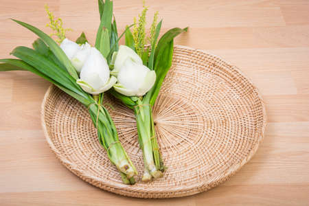 White Lotus Flower on tray wooden with backgroundの写真素材