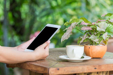 Close up of hands woman using tablet in cafeの写真素材