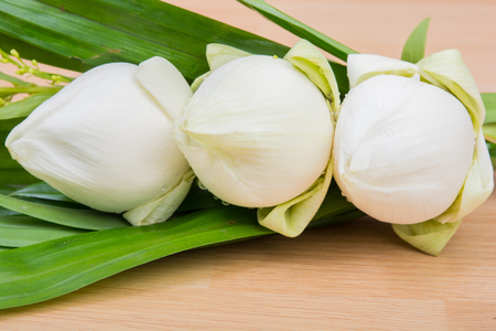White Lotus Flower on tray wooden with backgroundの写真素材