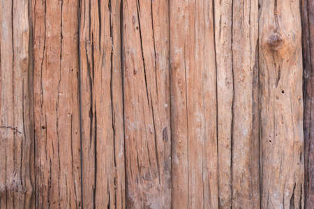 texture old tree wood background, aging woodenの写真素材