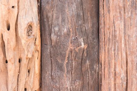 texture old tree wood background, aging woodenの写真素材