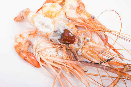 head fat or egg raw tiger fresh shrimps on white backgroundの写真素材