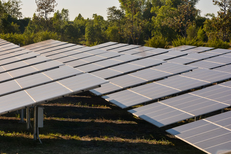 Photovoltaic solar energy panels farm for renewable energy or electricity with blue skyの写真素材