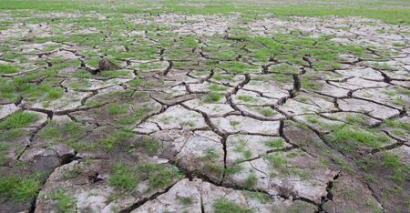land with dry cracked mud ground texture with new plantの写真素材