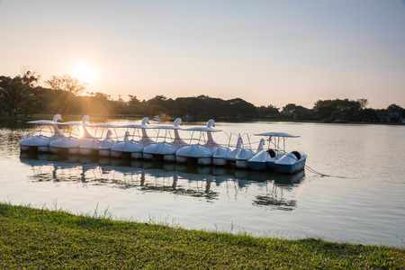 Swan boats Style on the lake in the asia parkの写真素材