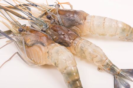 Raw tiger Fresh shrimps on white dish with wooden tableの写真素材
