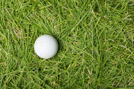 Old golf ball on green grass texture backgroundの写真素材