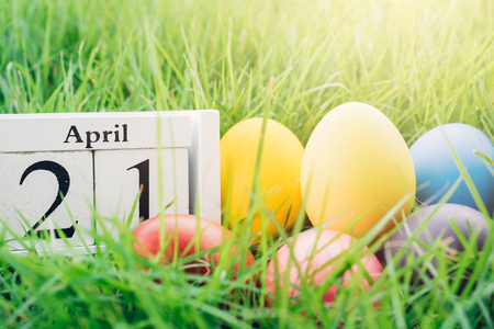 Easter egg on garden grass background, 21 April, Happy easter day conceptの写真素材