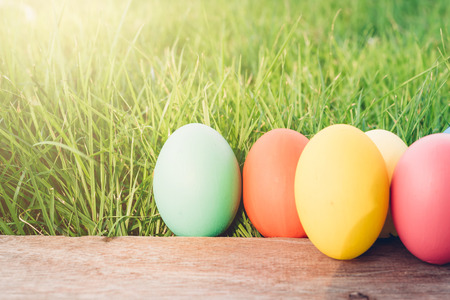 Easter egg on wooden garden grass background, happy easter day conceptの写真素材