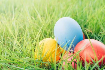 Easter egg on garden grass background, happy easter day conceptの写真素材