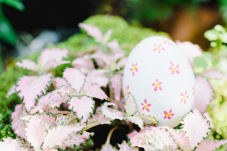 Beautiful Easter White color egg on garden, Easter day conceptの写真素材