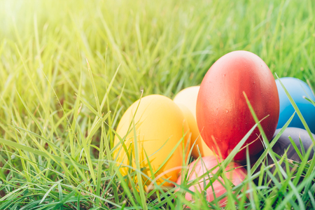 Easter egg on garden grass background, happy easter day conceptの写真素材