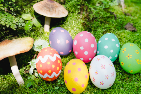 Beautiful Easter multi color egg on garden green grass, Easter day conceptの写真素材