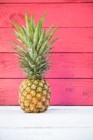 Holiday pineapple on red wooden background, tropical holiday conceptの写真素材
