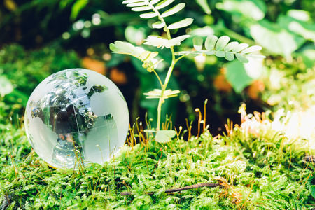 Globe glass in grass forest on nature background, Environment Day Conceptの写真素材