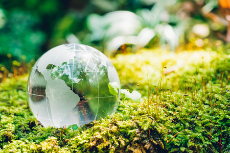 Globe glass in grass forest on nature background, Environment Day Conceptの写真素材