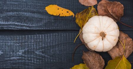 Fall Thanksgiving and Halloween pumpkins and dry leaves on wooden background, top view shot