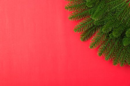 Happy new year or christmas day top view flat lay fir tree branches on red background with copy...