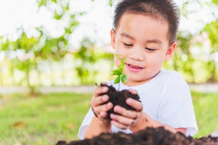World Environment Day Environment Concept, Hand of Asian cute little cheerful child boy holding young tree on black soil ready to plan on green garden backgroundの写真素材