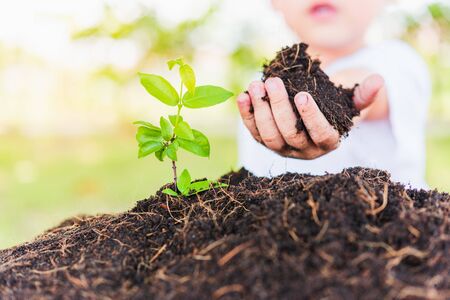 World Environment Day Environment and Save World Concept, Hand of Asian cute cheerful little child...