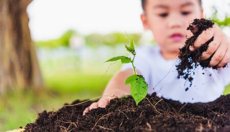World Environment Day Environment Concept, Hand of Asian cute little cheerful child boy planting young tree on black soil on green garden backgroundの写真素材