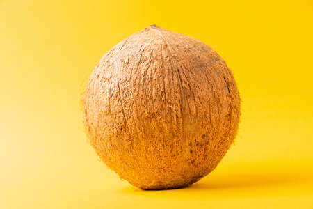 Happy coconuts day concept, whole coconut, studio shot isolated on yellow background, Tropical fruitの写真素材