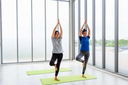Two Asian women sporty attractive people practicing yoga lesson together, working out at the fitness...