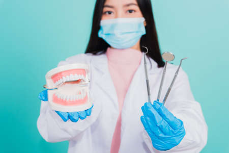 Asian beautiful woman dentist holding professional tool and model teeth denture, female doctor checking denture studio shot isolated on blue background. Dental hygiene surgery health care conceptの写真素材