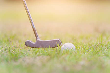 Closeup golf club and a white golf ball in the grass ready to the driver in tournament, outdoor sportの写真素材