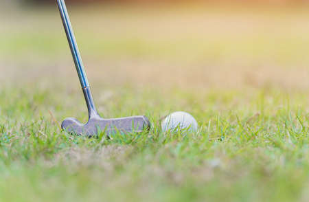Closeup golf club and a white golf ball in the grass ready to the driver in tournament, outdoor sportの写真素材