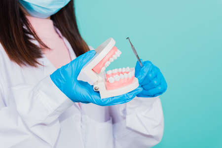 Asian beautiful woman dentist holding professional tool and pointing model teeth denture, female...