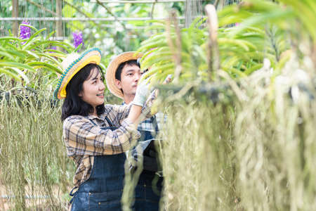 Young couple farmers checking their orchid gardening farm, woman and man check quality of orchid flower by magnifying glass together and take notes in garden greenhouse, Agricultural conceptsの写真素材