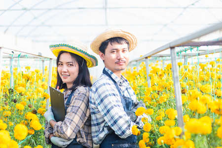 Portrait farmer young woman and man worker smiling in uniform standing arms crossed on marigold flower greenhouse garden, marigold gardening small business conceptの写真素材
