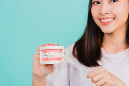 Asian beautiful young woman teen smiling showing demonstration on fake jaw how to tooth brush on clean teeth, studio shot isolated on blue background, Dental health care conceptの写真素材