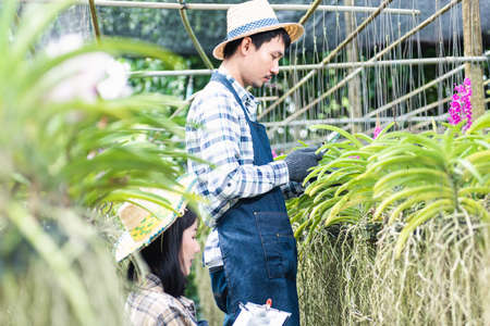 Young couple farmers checking their orchid gardening farm, woman and man check quality of orchid flower by magnifying glass together and take notes in garden greenhouse, Agricultural conceptsの写真素材