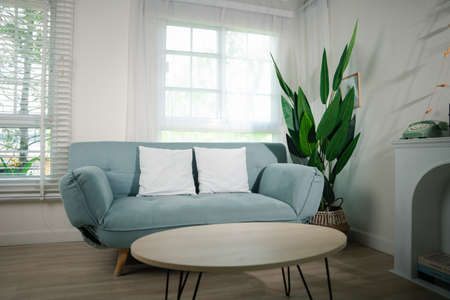 Minimal living room interior with comfortable modern green sofa near window at home sunny day, Apartment furnished empty white wallの写真素材