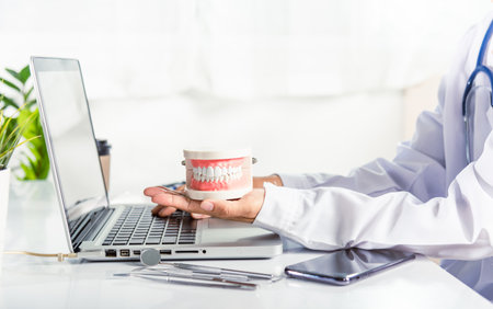 Dentist woman hand holding educational jaw model of oral cavity with teeth at workplace, female doctor sitting and hold tooth on desk at clinic office have laptop computer, dental conceptの写真素材