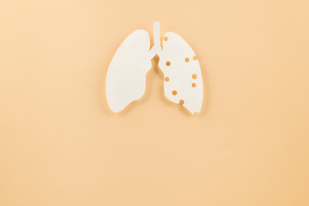 Lungs paper cutting symbol on pastel background, copy space, concept of world TB day, banner background design, respiratory diseases, lung cancer awareness, Healthcare, World tuberculosis dayの写真素材