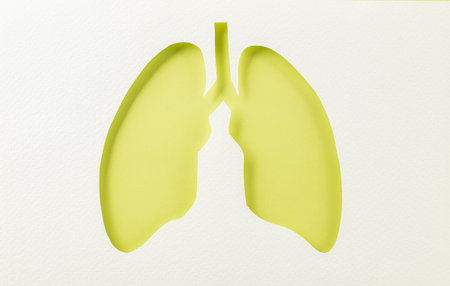 World tuberculosis day. Lungs paper cutting symbol on white background, copy space, concept of world TB day, banner background, respiratory diseases, lung cancer awareness, Paper Art, 24 Marchの写真素材