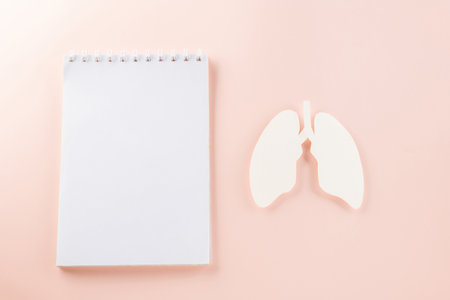 World Tuberculosis Day. Overhead lungs paper symbol, medical stethoscope and notebook paper on pastel pink background, lung cancer awareness, copy space concept of world TB dayの写真素材