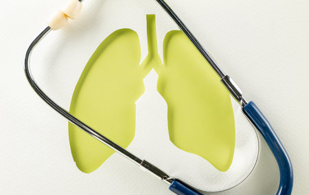 World Tuberculosis Day. Overhead lungs green paper symbol and medical stethoscope on white background, lung cancer awareness, copy space concept of world TB day, banner background, pneumonia awarenessの写真素材