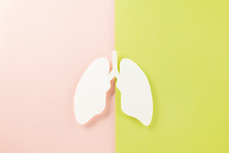 World tuberculosis day. Top view Lungs paper decorative symbol on pink and green background, copy space, concept of world TB day, no tobacco, Medical and healthcare, lung cancer awareness, 24 Marchの写真素材