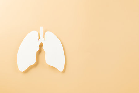 World TB day. Top view Lungs paper decorative symbol on pastel background, copy space, concept of world tuberculosis day, no tobacco, Medical and healthcareの写真素材