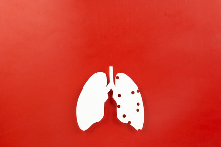 World tuberculosis day. Lungs paper cutting symbol on red background, copy space, concept of world TB day, banner background, respiratory diseases, lung cancer awareness, Paper Art, 24 Marchの写真素材