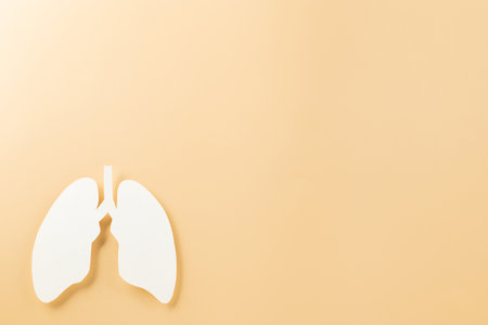 World tuberculosis day. Lungs paper cutting decorative symbol on pastel background, copy space, concept of world TB day, no tobacco, banner background, respiratory, lung cancer awareness, 24 Marchの写真素材