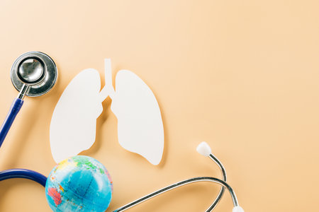 World tuberculosis day. Lungs paper cutting symbol and medical stethoscope on pastel background, copy space, concept of world TB day, banner background, respiratory diseases, lung cancer awarenessの写真素材